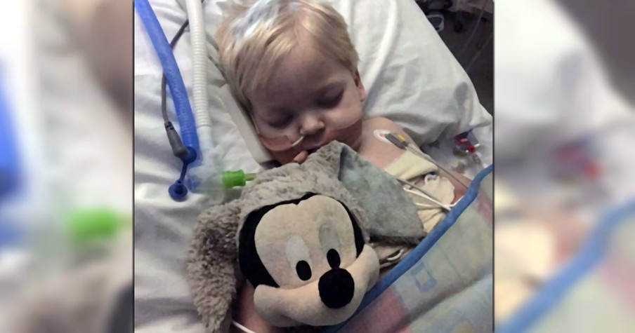 Heartbroken Parents Take 2-Year-Old Off Life Support And Then Get An Easter Miracle