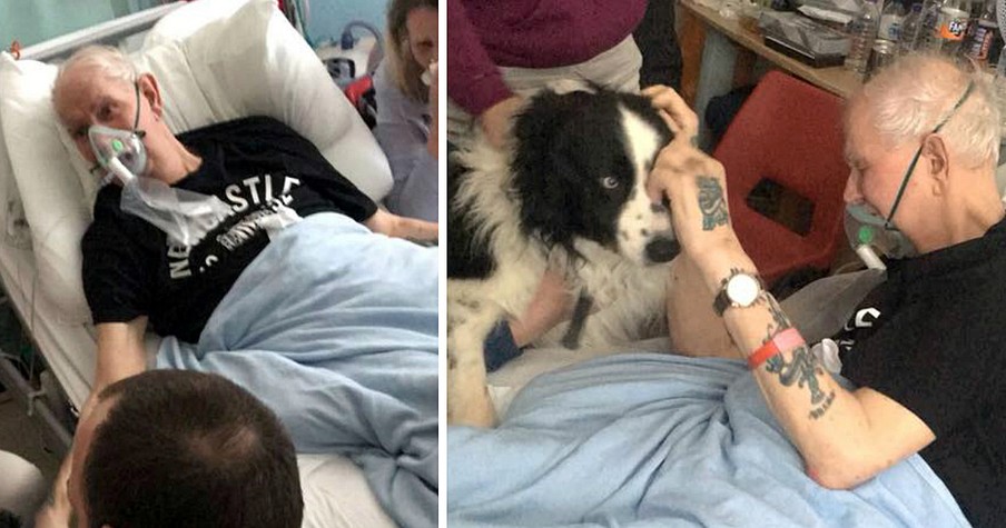 Bed-Ridden Man Says Gut-Wrenching Goodbye To Beloved Dog In His Final Hours