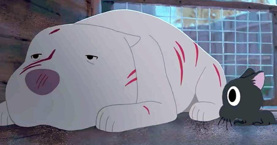 Pit Bull And Stray Cat Make Unlikely Pair In Animated Short Carrying Deep Message