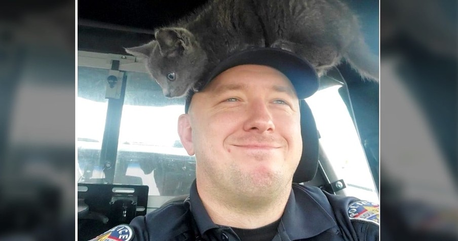 Police Officer Gets The Cutest New 'Partner' After Fuzzy Streak Runs Under His Cop Car