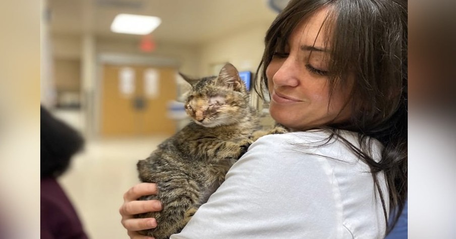 Kitten With No Eyes Thrown Out In The Trash But Special Angels Made Sure She Got A 2nd Chance