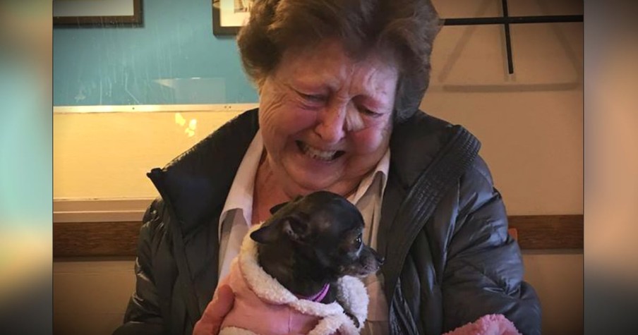 Put A Lonely Grandma With A Love-Starved Dog And You Get Pure Joy