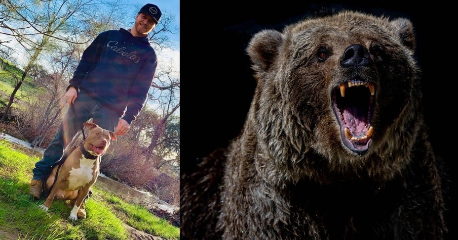 Man Fights A Bear Weighing 530 Pounds To Save His Beloved Dog