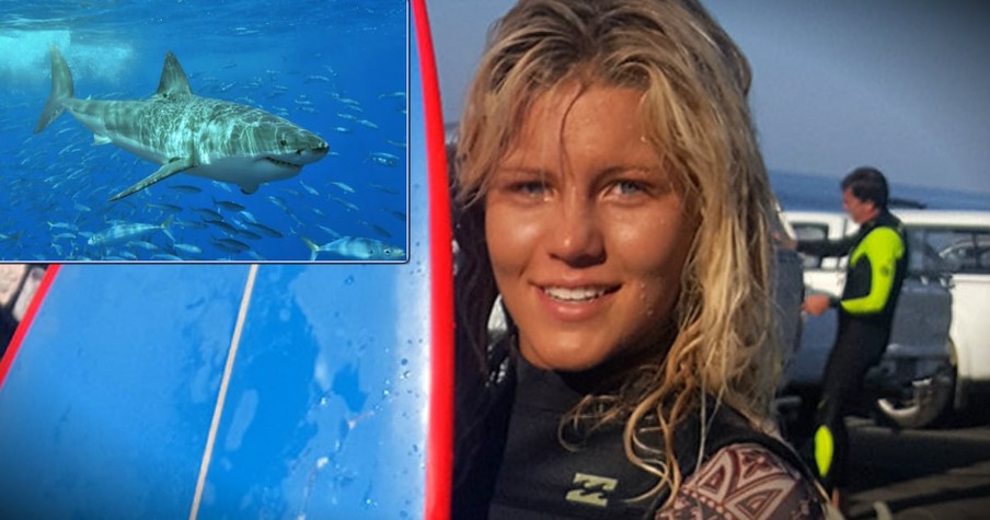 Hero Swims Straight Towards Shark Attacking A 13-Year-Old Girl