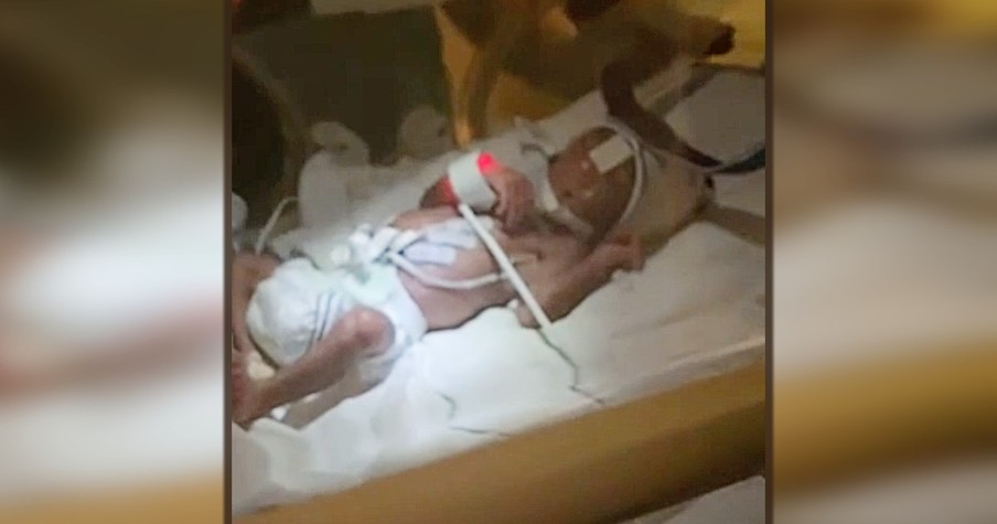 Doctors Said Her Son Wouldn't Survive But Miracle Micro Preemie Goes Home And Thrives