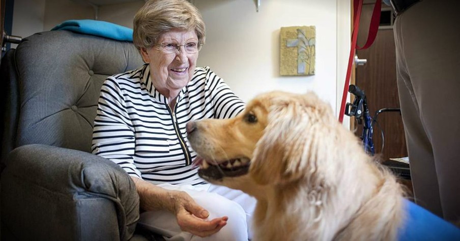 Miracle Pup Overcame Years of Therapy to Give Therapy to Others