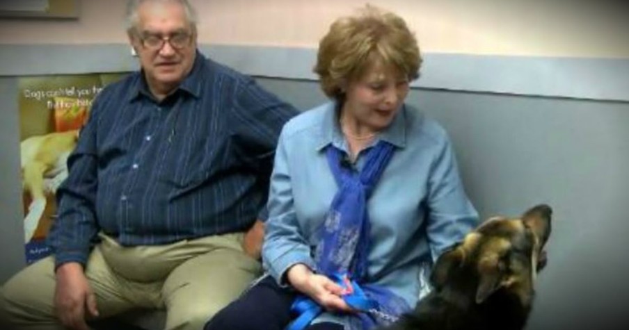 Dog Goes Missing For 4 Years, Then Miraculously Shows Back Up