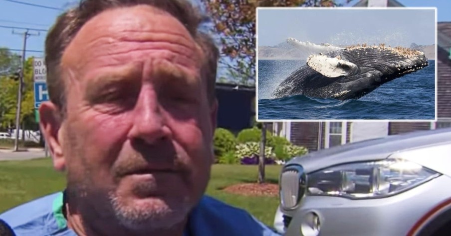 Man Is Swallowed Whole By A Whale And Lives To Tell His Modern-Day Jonah Story