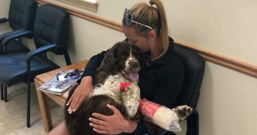 Mom Prays And Gets Help From Angels To Carry 55-lb Injured Dog Down Mountain