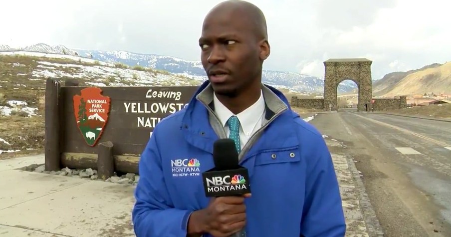 NBC News Reporter Spots A Herd Of Bison Headed His Way And His Reaction Is Priceless