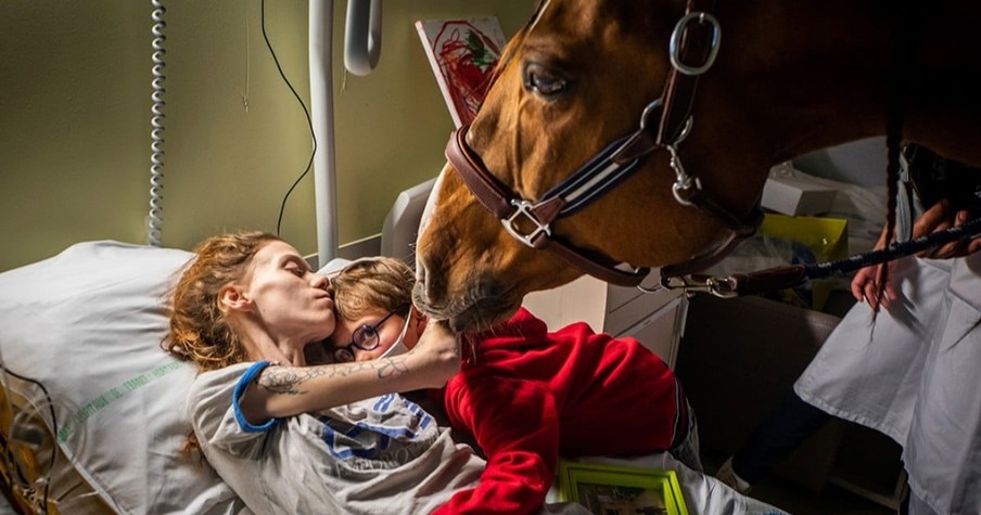 God Gave Peyo, A Therapy Horse, A Special Purpose -- He Can Sense Who Needs Him Most