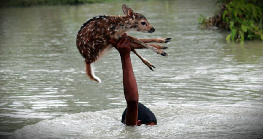 9 Photos Of Children That Will Restore Your Faith In Humanity
