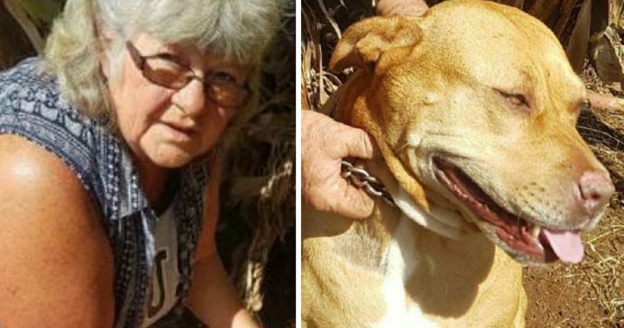 Pit Bull Charges At 69-Year-Old Woman But Then They See What She Has In Her Mouth