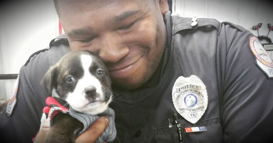 He Walked Into An Animal Shelter On Official Police Business And Fell In Love