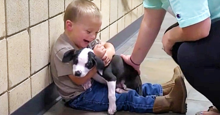 Puppy With Cleft Lip Brings Pure Joy To 2-Year-Old With The Same Birth Defect