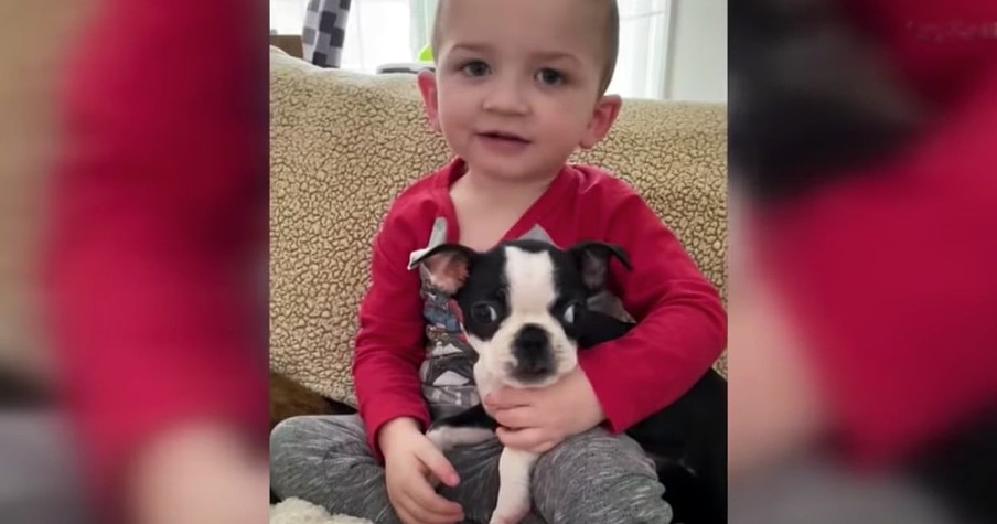 Little Boy's New Puppy Ends Up Suffering Same Rare Birth Defect So Strangers Jump In To Help