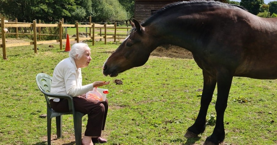 Elderly Woman Rescued a Horse More Than 10 Years Ago, Now The Two Reunite