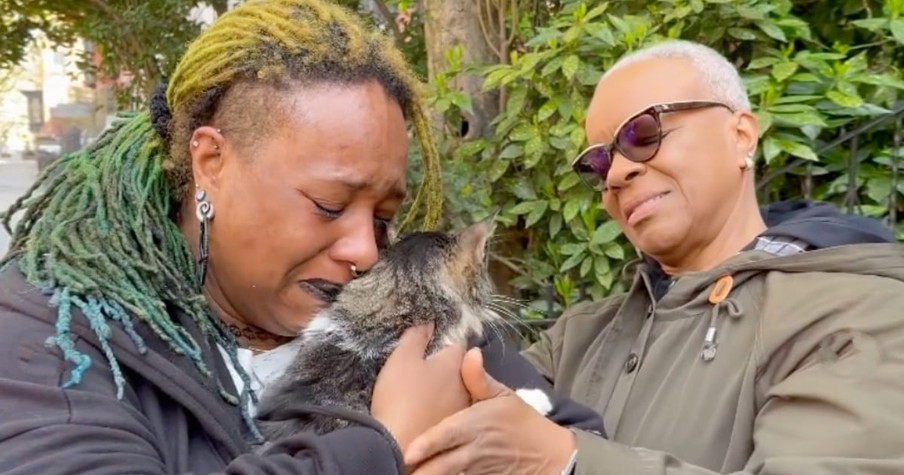 Woman Breaks Down During Miraculous Reunion with Lost Cat, Then Learns God Has Bigger Plans