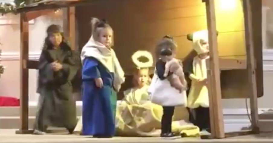 Sheep Runs Off With Baby Jesus During Christmas Play But Mary Saves The Day