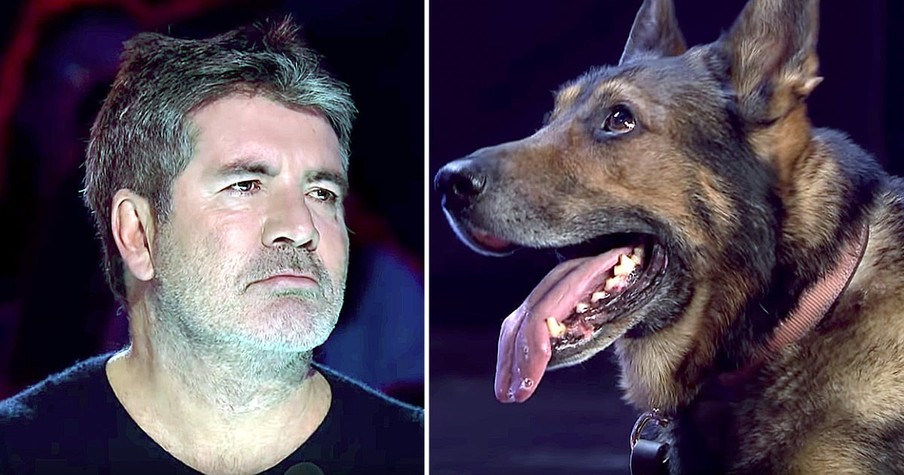 Simon Cowell Cried During Police Dog Audition And Here's The Story Behind Why