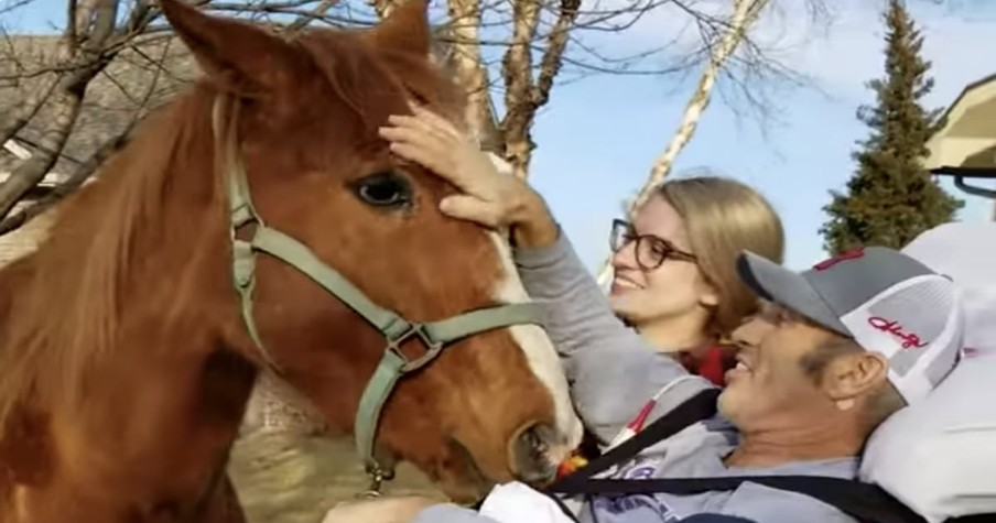 The Dying Cowboy Who Longed To See His Horse 1 Last Time Gets Final Wish Just In Time