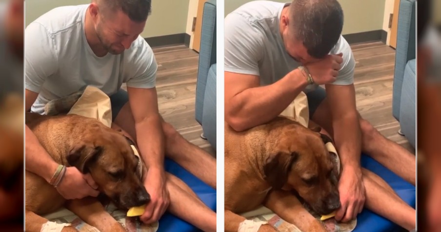 Tim Tebow Crying As He Says Goodbye To Beloved Dog Bronco Is Utterly Heart-Wrenching