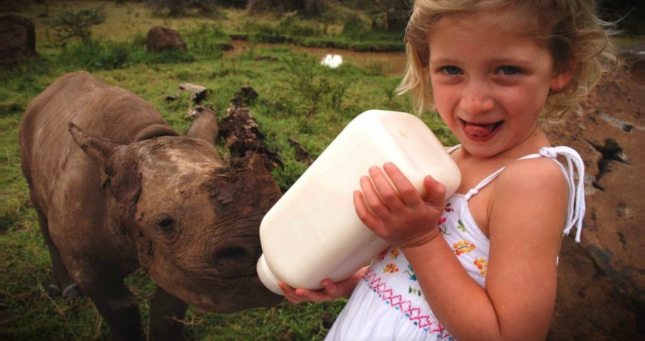 Little Girl Asked Her Parents For A Puppy And Got A Rhino Instead