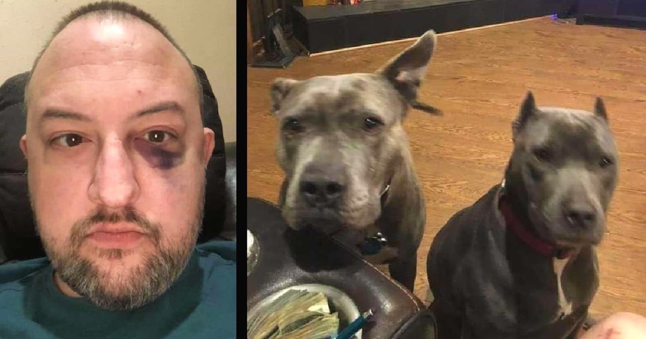 Man Rescues 2 Pit Bulls Nobody Wanted And Later They Return The Favor When Someone Breaks In