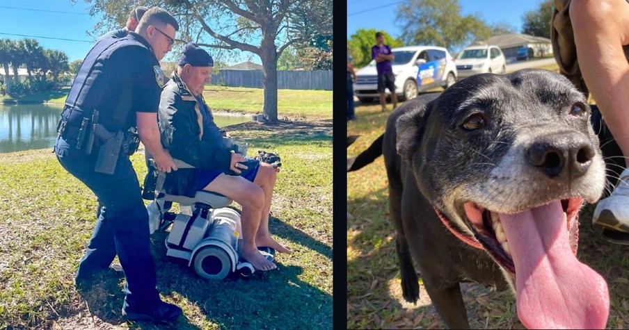 Electric Wheelchair Dumps 81-Year-Old Into Lake But His Very Loyal Dog Saves The Day