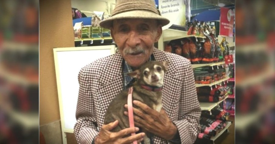 1 Was Lonely And The Other Frightened But This Veteran And Chihuahua Found Pure Joy Together