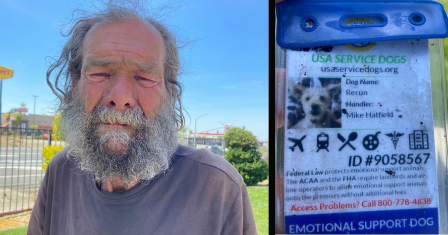 Police Post Desperate Plea Looking for Homeless Veteran's Service Dog Missing for a Week