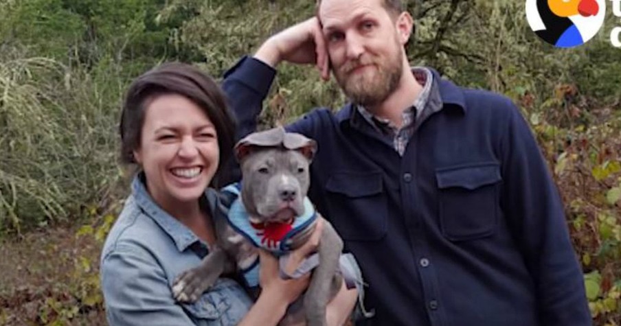 Dog Reunites With The Lady Who Saved His Life In A Heartwarming Moment