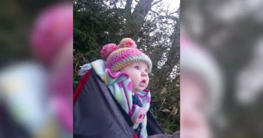 Baby Girl Is Astonished By Hearing Birds Singing For The Very First Time