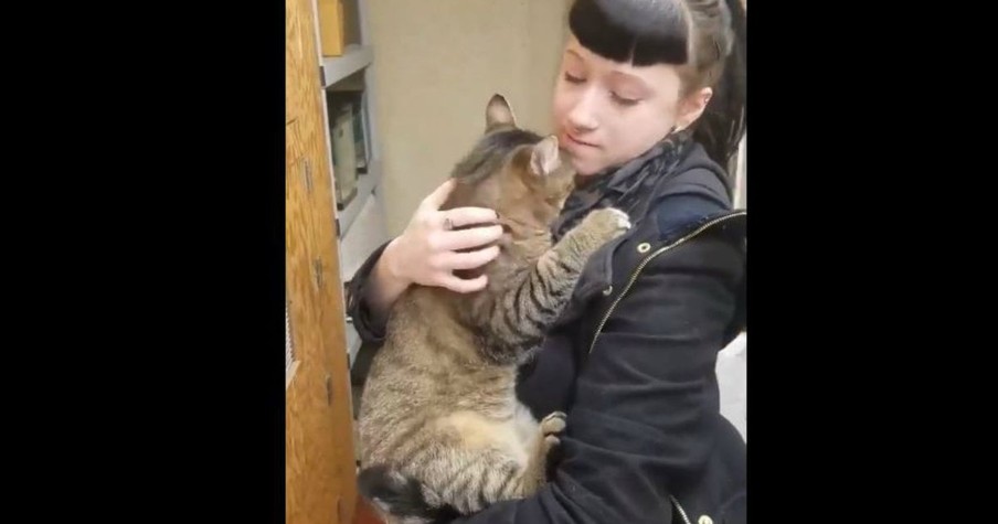 A Lady Found A Cat And He Would Not Let Go Of Her