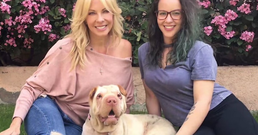 Rescuers Captured A Dog Who Was Living Dangerously On Railroad Tracks