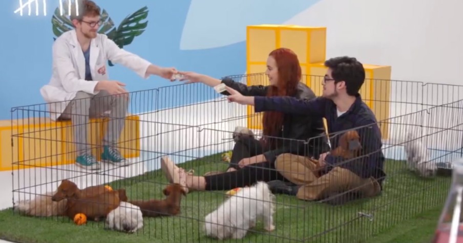 Puppies Teaches An Adorable Lesson About Being Generous