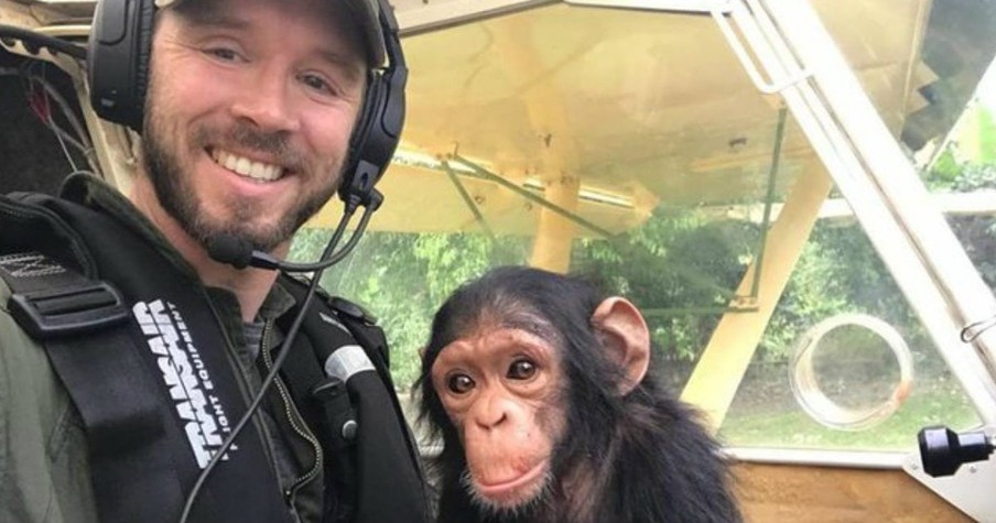 Baby Chimpanzee Was Taken Captive From His Mother, But Now He Is Free