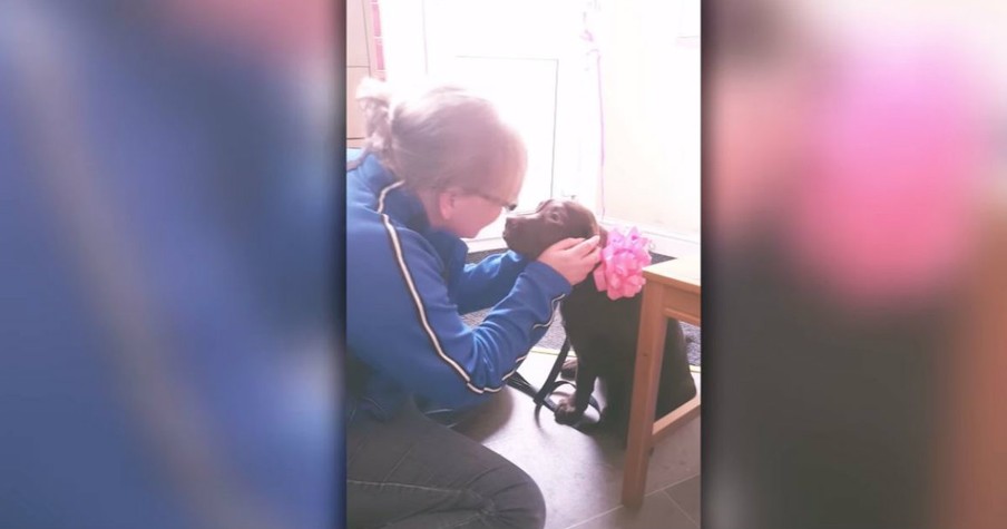 Husband Surprised His Wife With A Puppy For Her 40th Birthday