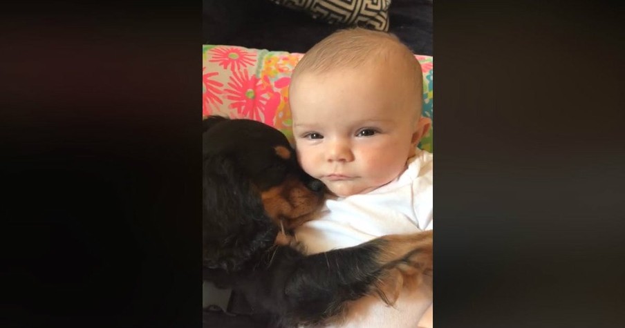 A Puppy And A Baby Are Cuddling During Nap Time