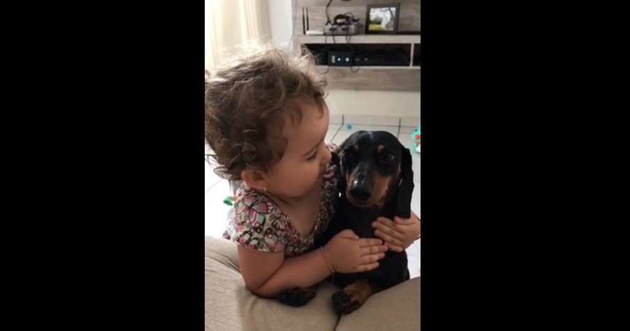 Little Girl Snuggles With Her Patient Puppy