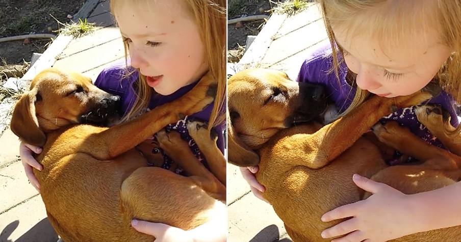 Little Girl Sings Sweetest Lullaby To Her Rescue Puppy