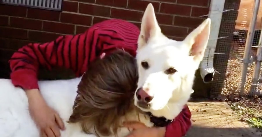 Little Boy Reunites With Family Dog After A Year Apart