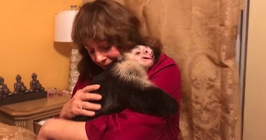 Adorable Monkeys Get So Excited When Their Grandma Visits