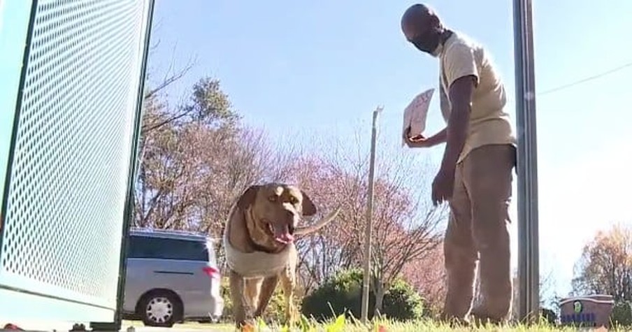 Greensboro Man Sacrifices A Home And Surgery To Keep The Dog He Loves Dearly