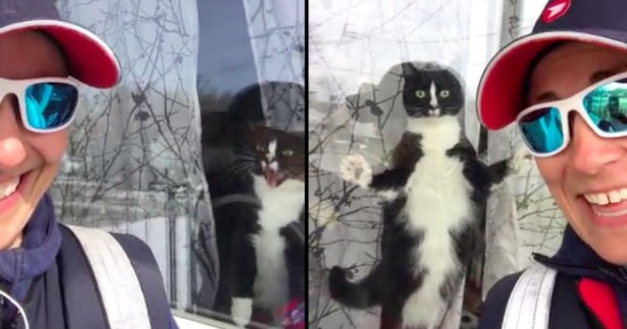 Mail Carrier's Hilarious Video of A 'Guard Cat' On Her Route Goes Viral