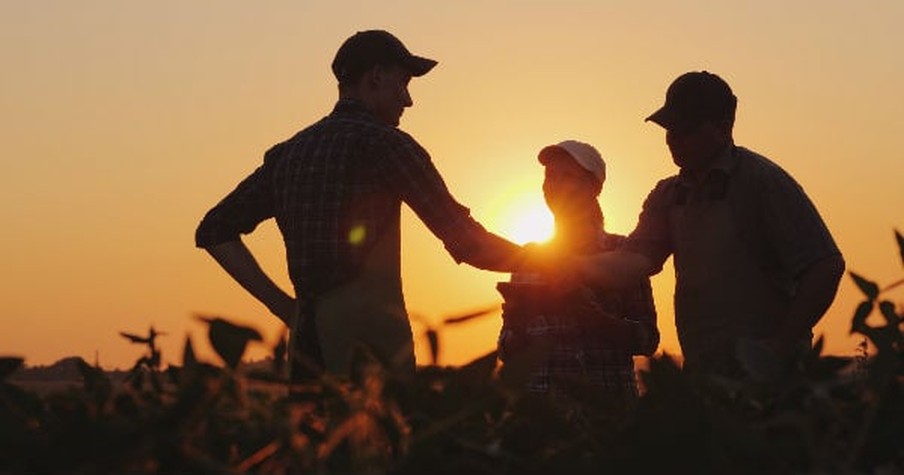 Farmer Suffers A Heart Attack In The Middle Of Harvesting And Then 60 Neighbors Show Up