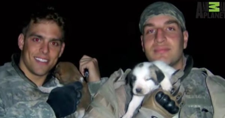 Their Soldier Son Died In The Line Of Duty. But He Sent Them A Touching Sign From Above!