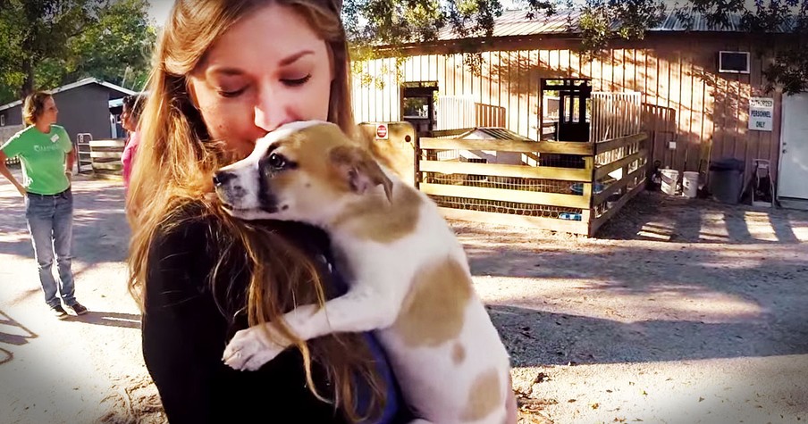 Family Meets Their New Rescue Puppy
