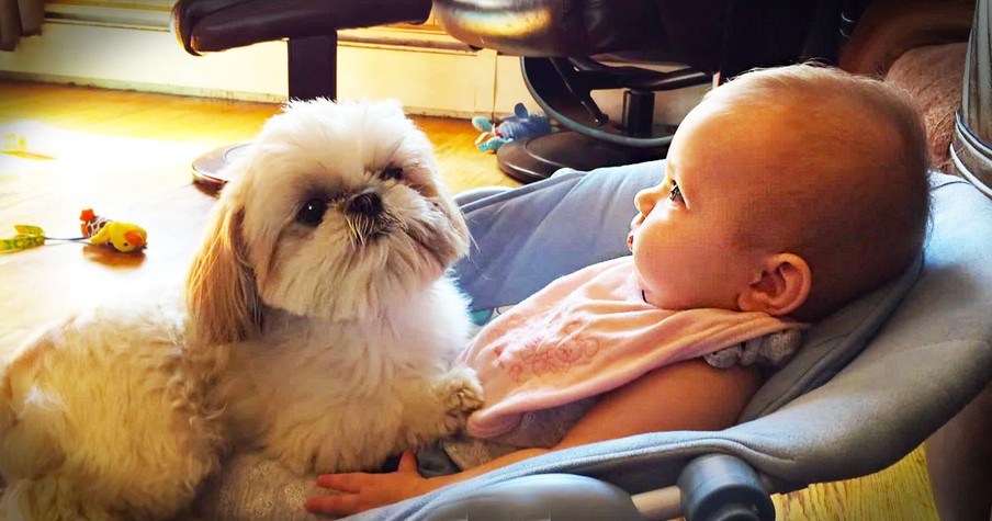 A Sweet Friendship Between A Girl And Her Dog