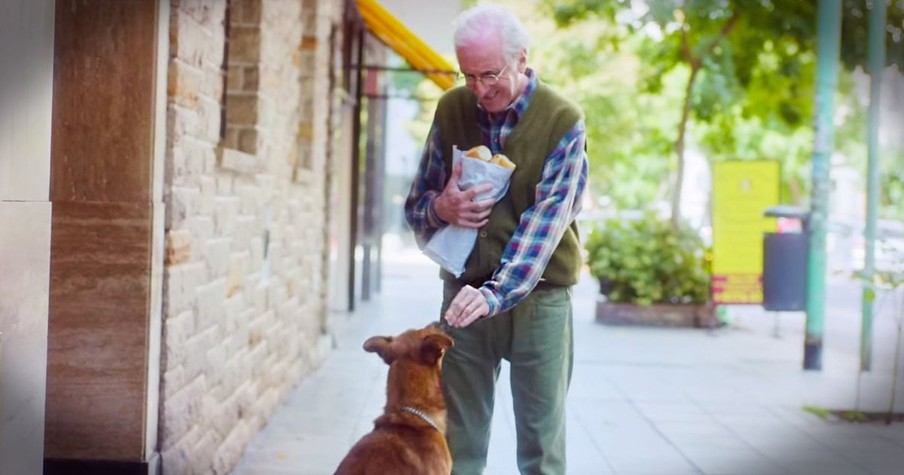 Loyal Dog Waits For His Owner Outside Hospital